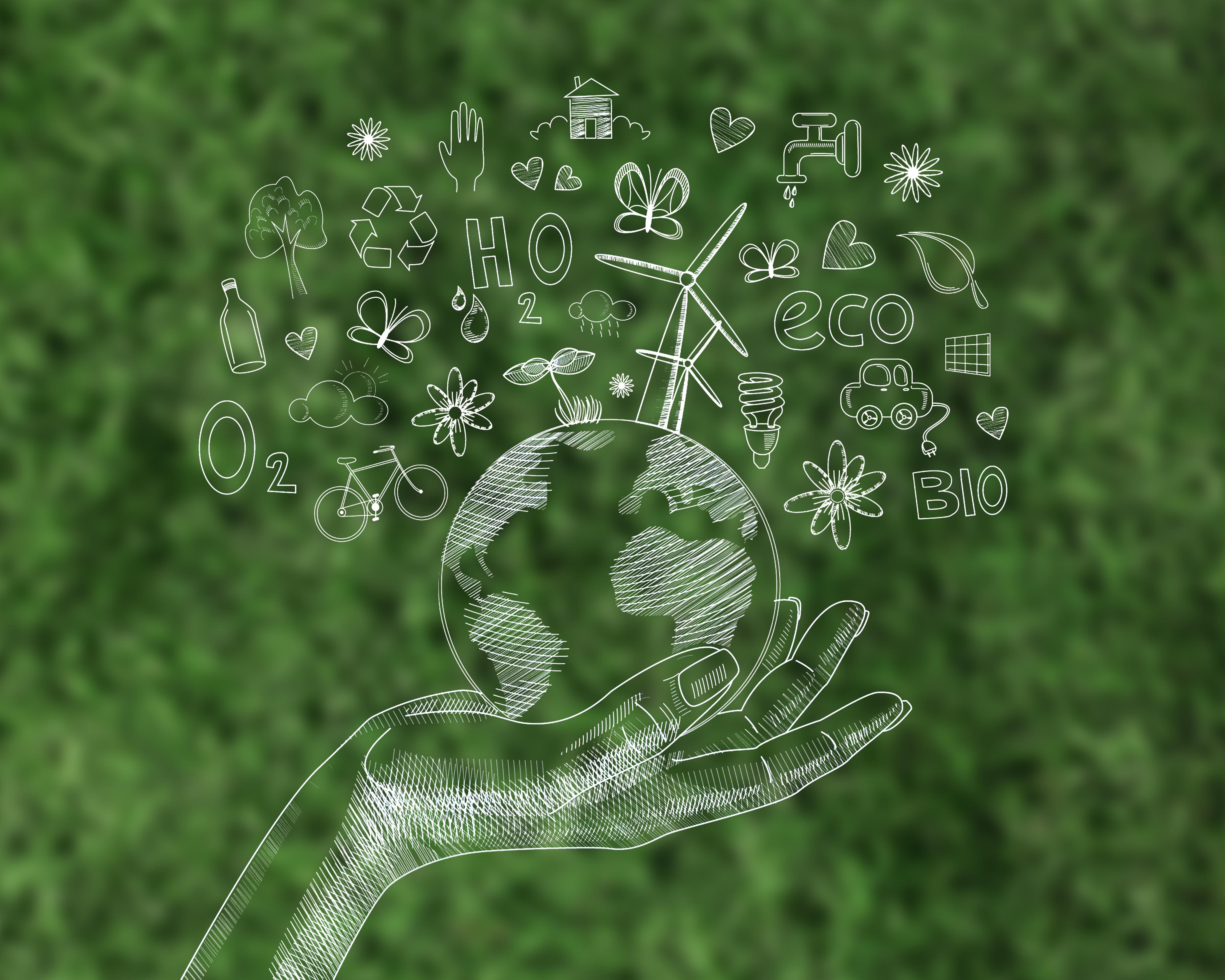 Innovazione e sostenibilità: come le aziende possono trasformare le sfide ambientali in opportunità di crescita